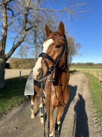 BRANDTBJERGS SAMURAI