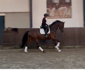 CASSIOPEIA-KNUDSGAARD