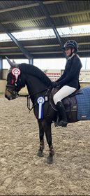 BRUMMERHOEVE'S NEWTON H