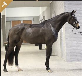 HESSELHOEJ.DK AUKTION