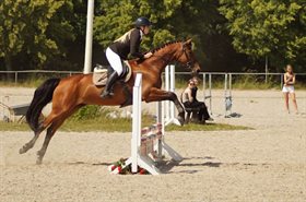 VEHLSGAARDS CASSIOPEIA