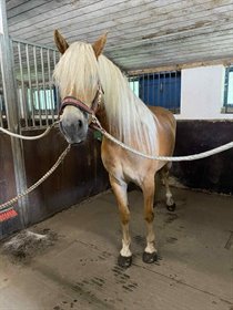 NORDLYS AF ÅTTE BJERGE