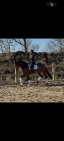 KOLD'S FLAWLESS PARI