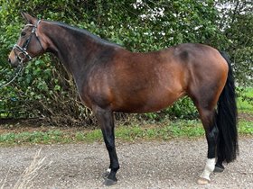 TJØRNELUNDS LITTLE OLYMPIC TIME