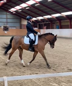 STALD GASSUMS JACKPOT