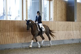 BØGEGÅRDENS MEMPHIS