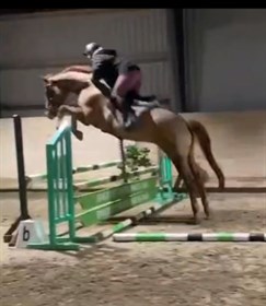 MK'S CATCH ME FLYING BLUE
