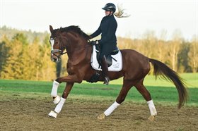 DONNA TIME DE FONTAINE