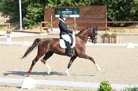 SANDKILDEHUS DRESSAGE