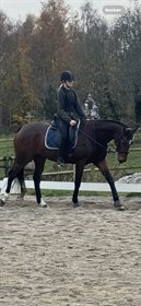 SWEETGIRL CARLRAS XX