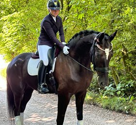 SVALEGÅRDS FLORISSTAR