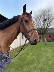 PARADISE VAN’T BONNERHOF 