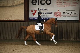 DORTHEASMINDES ZACKIAN