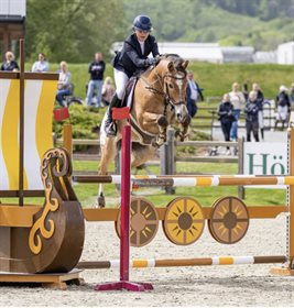 Sparkling Mr Boomtastic