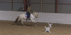 AULUMGAARDS GIANT BRAVEHEART