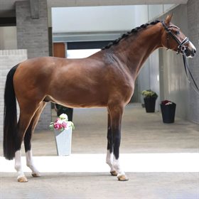 HESSELHOEJ.DK AUKTION