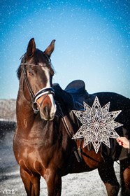 LILLEGÅRDENS FIRST KISS