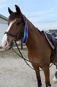 ABELLA WISH I WAS RIGHT