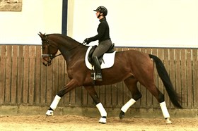 CASSIOPEIA-KNUDSGAARD