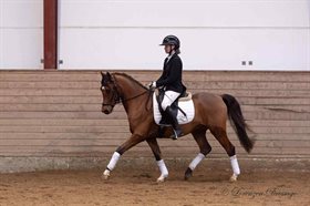 KIRKELODGAARD'S MAGIC