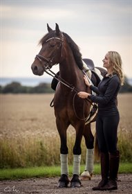 TEKEN APPLEJACK (DNK)