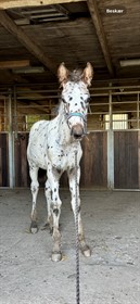 EXON WISH ME LUCK CM