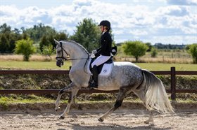 KASTANIEGÅRDENS ALEXA