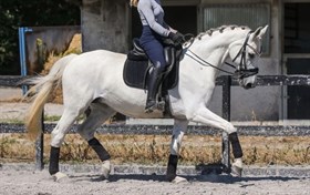 SILVER'S TOUCH OF CLASS