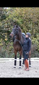 VESTERGÅRDENS ARNAU