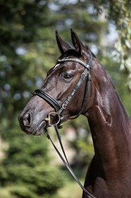 HEILINE'S DIVA BALLERINA