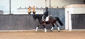 PHILIP VON PREÚSSEN