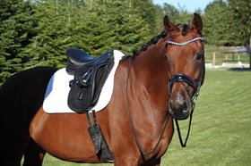 BONEFELD'S TOUCH OF ROMANCE