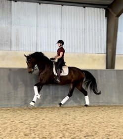 SANDKILDEHUS DRESSAGE 