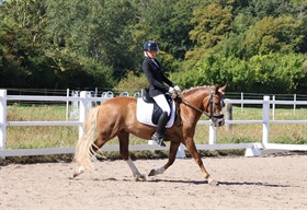 SKOVLUNDEGÅRDS QASMIR