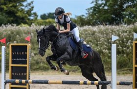 FAGAN’S DON CHATEAU 