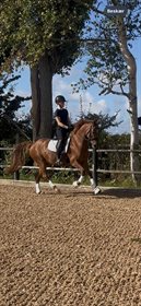 SCHUBERTS CELTIC KINDLY