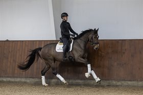 FRYDENSSANGS FAIRYTALE