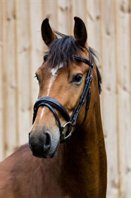 HIGHSAND ASK FOR LOVE DWB