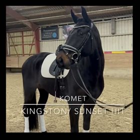 MØLKROGGÅRDS KOMET