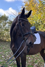 SVALEGÅRDS HOT MILLION