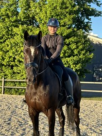 SVALEGÅRDS FLORISSTAR