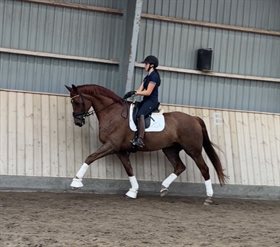 ALJ'S MR. ADDICTION