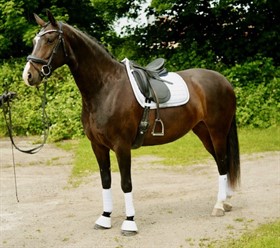 BAGGEGÅRDENS FLORENCE