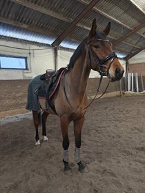 I NORAGERS RISKY BUSINESS Z