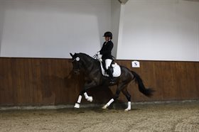 HOLMGÅRDS KOMTESSE ZACK ZU ZZET