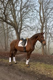 KJELDBJERGS FALLULAH