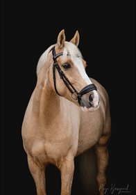 HESSELTEICHS A CANDY MAN