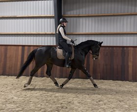 ELMEGAARDENS AVENTADOR