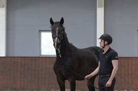 SOLERO