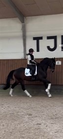 FIREHØJES SANS BENITO